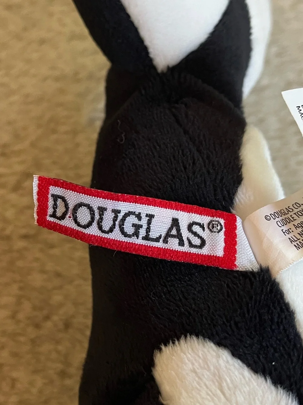 Douglas Spout Orca Whale